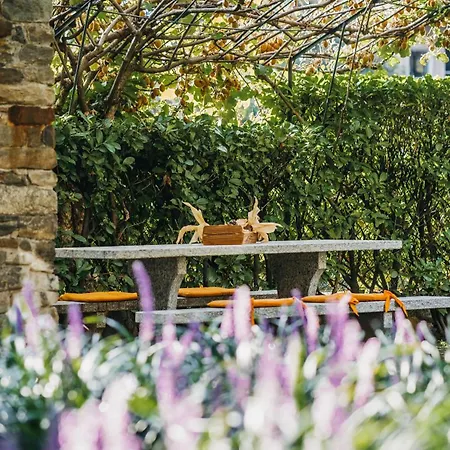 Antico Torchio 4* ديرفيو