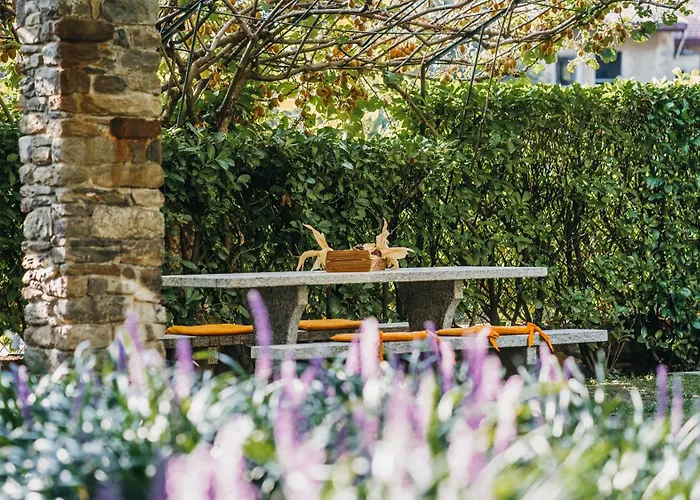 Antico Torchio 4* ديرفيو